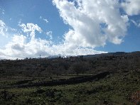 iara Scorciavacca-20110306 066